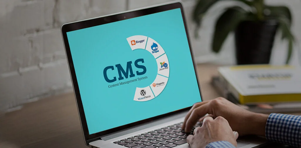 CMS Development Service